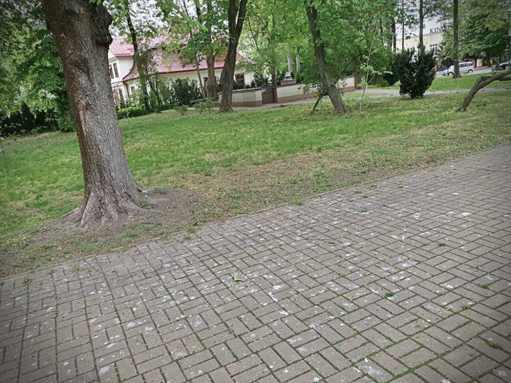 Gdzieś w Hrubieszowie... w miejskim parku [ZDJĘCIA]