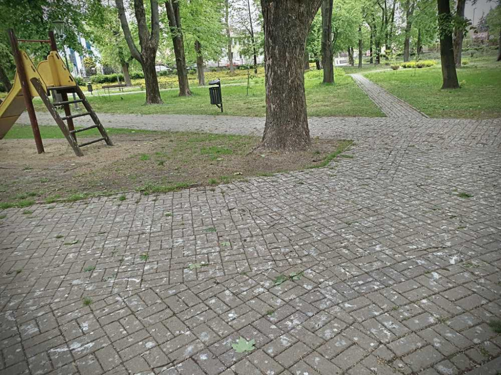 Gdzieś w Hrubieszowie... w miejskim parku [ZDJĘCIA]