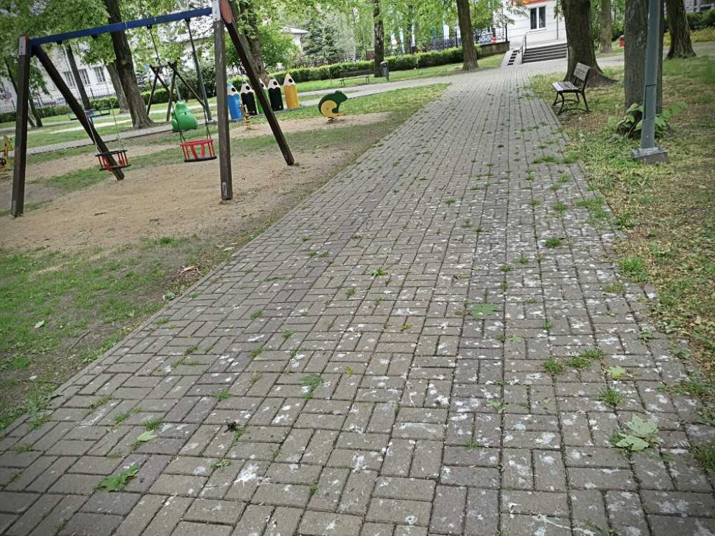 Gdzieś w Hrubieszowie... w miejskim parku [ZDJĘCIA]