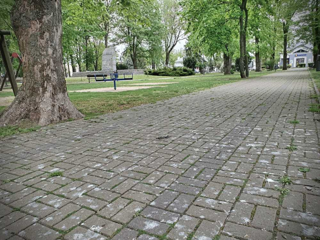 Gdzieś w Hrubieszowie... w miejskim parku [ZDJĘCIA]