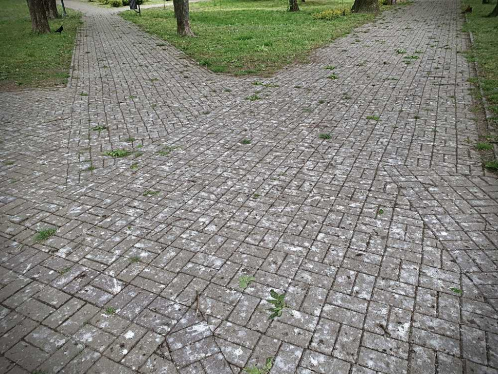 Gdzieś w Hrubieszowie... w miejskim parku [ZDJĘCIA]