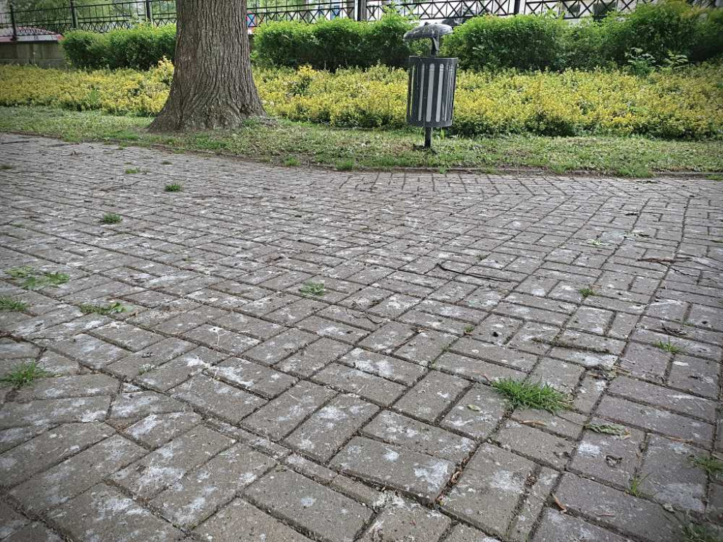 Gdzieś w Hrubieszowie... w miejskim parku [ZDJĘCIA]