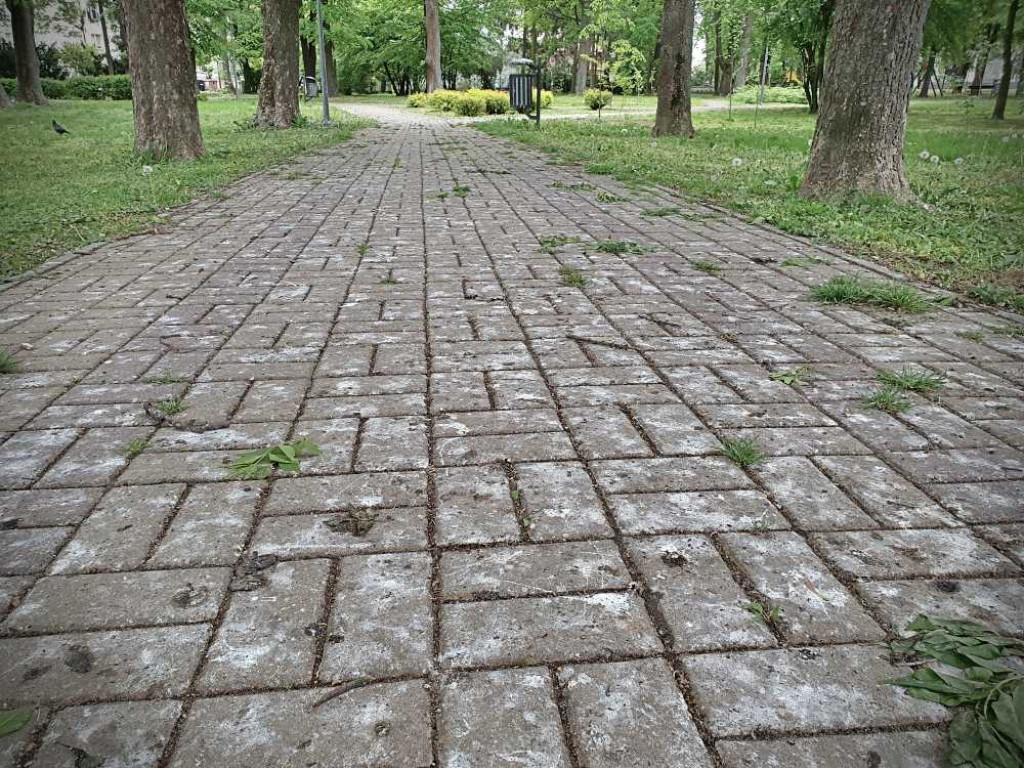 Gdzieś w Hrubieszowie... w miejskim parku [ZDJĘCIA]