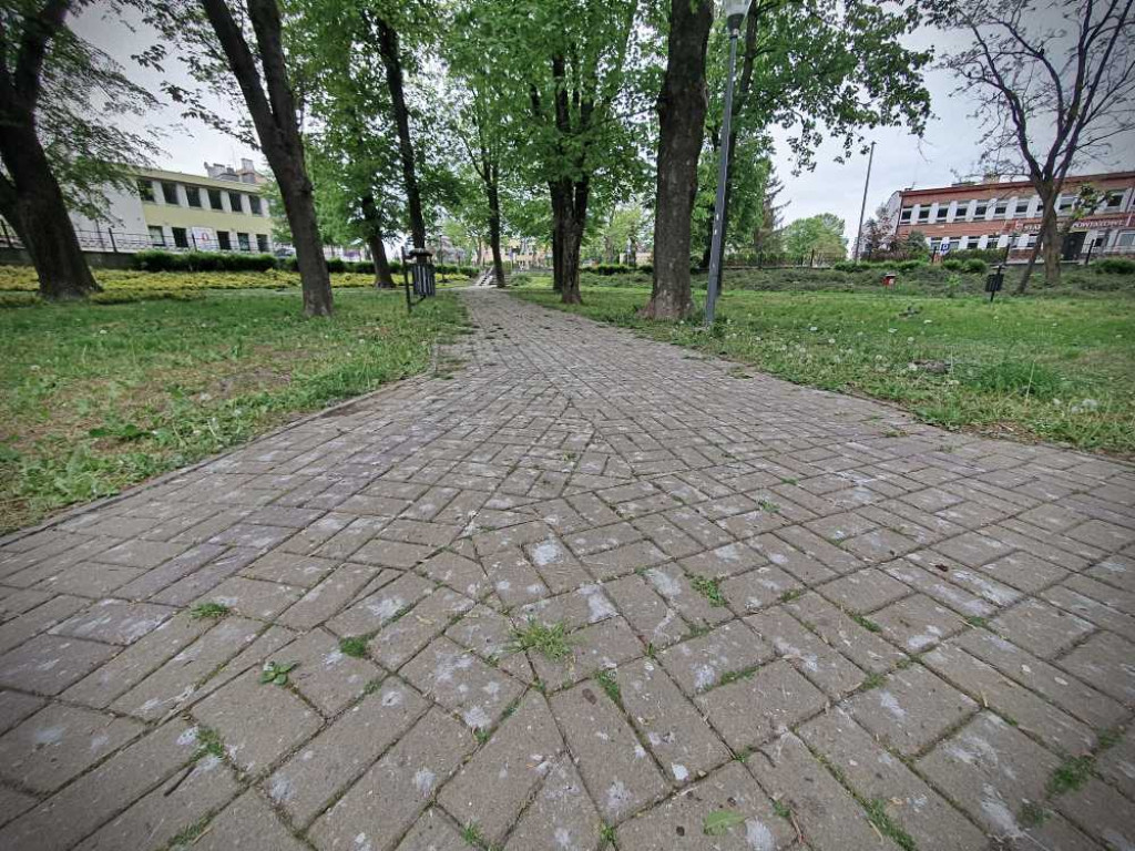 Gdzieś w Hrubieszowie... w miejskim parku [ZDJĘCIA]