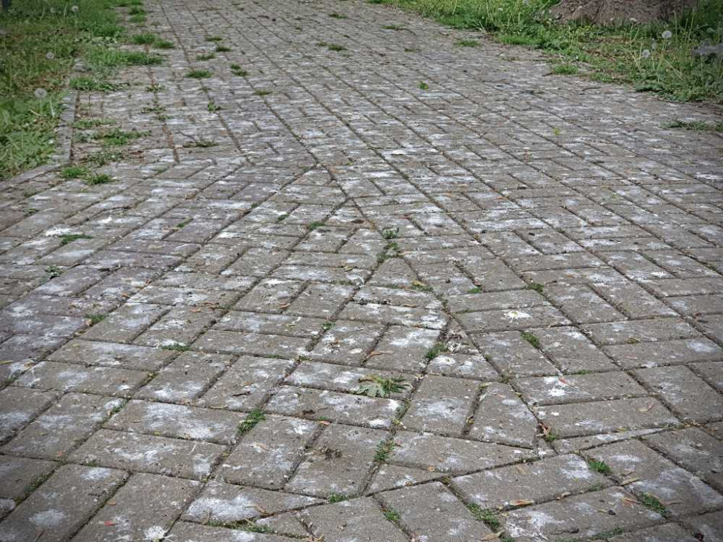 Gdzieś w Hrubieszowie... w miejskim parku [ZDJĘCIA]