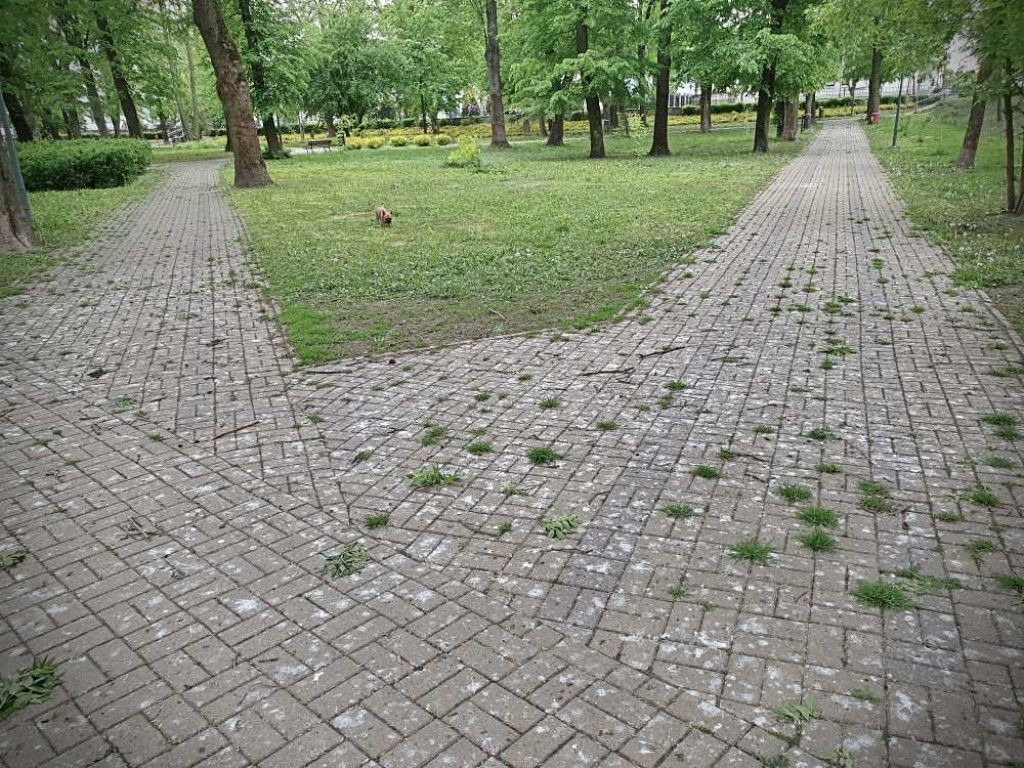 Gdzieś w Hrubieszowie... w miejskim parku [ZDJĘCIA]