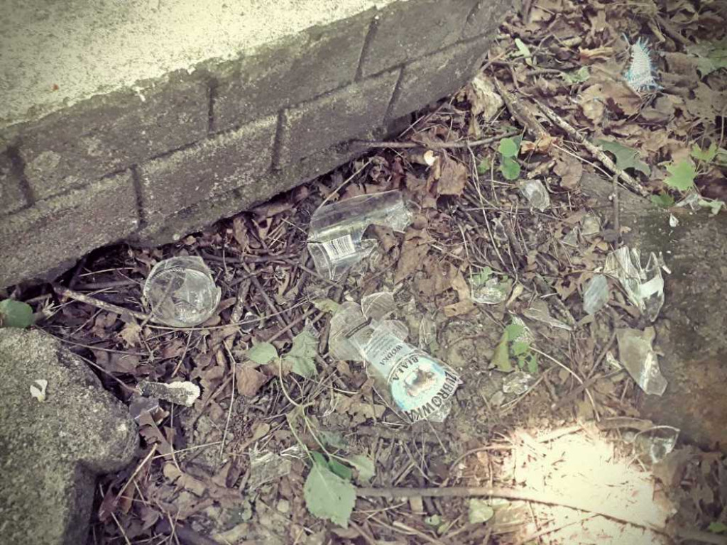 Zdewastowano zabytkowy cmentarz w Dobromierzycach. Policja poszukuje sprawców [ZDJĘCIA]
