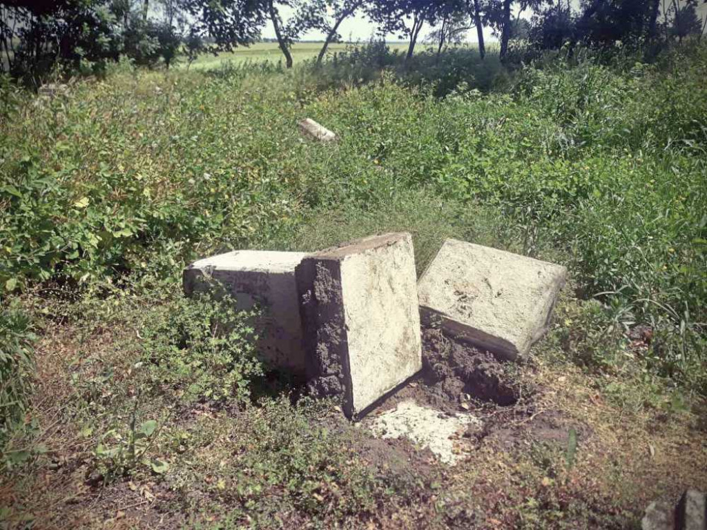 Zdewastowano zabytkowy cmentarz w Dobromierzycach. Policja poszukuje sprawców [ZDJĘCIA]