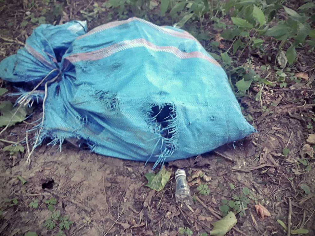 Zdewastowano zabytkowy cmentarz w Dobromierzycach. Policja poszukuje sprawców [ZDJĘCIA]