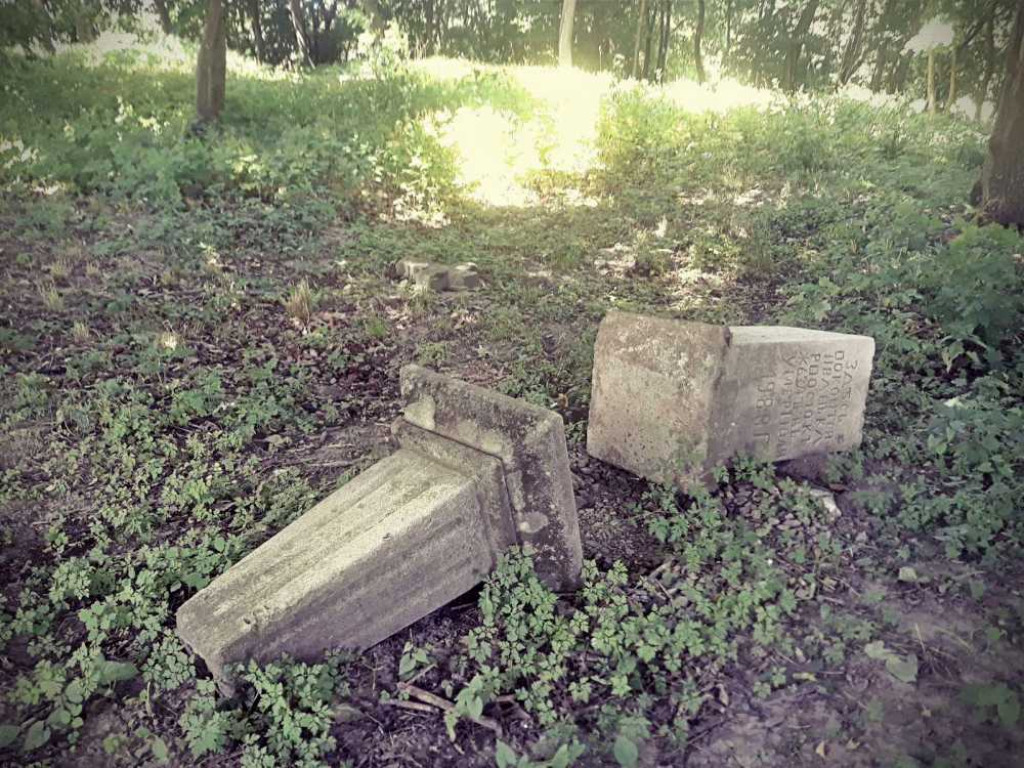 Zdewastowano zabytkowy cmentarz w Dobromierzycach. Policja poszukuje sprawców [ZDJĘCIA]