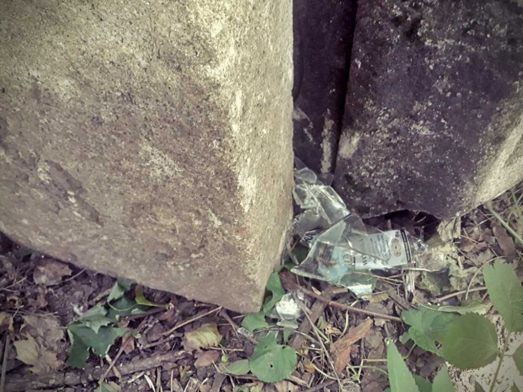 Zdewastowano zabytkowy cmentarz w Dobromierzycach. Policja poszukuje sprawców [ZDJĘCIA]