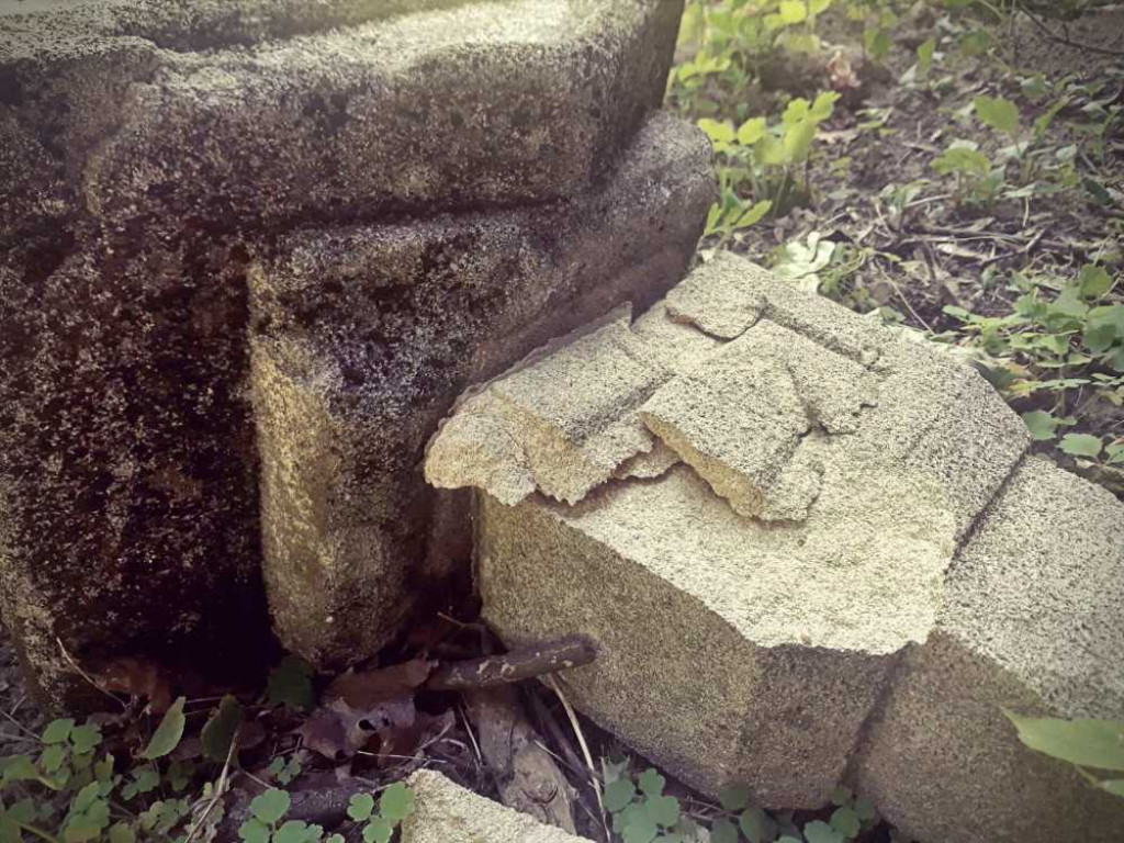 Zdewastowano zabytkowy cmentarz w Dobromierzycach. Policja poszukuje sprawców [ZDJĘCIA]