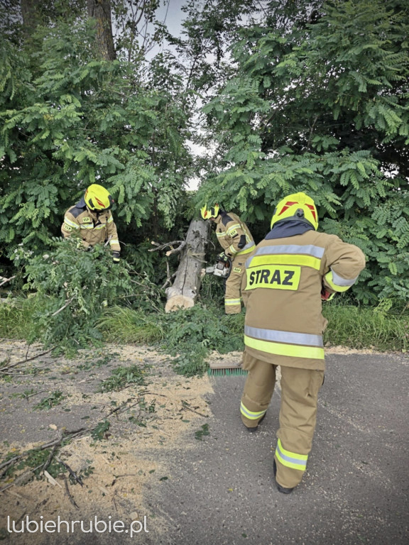 119 strażackich interwencji po burzach 7 lipca