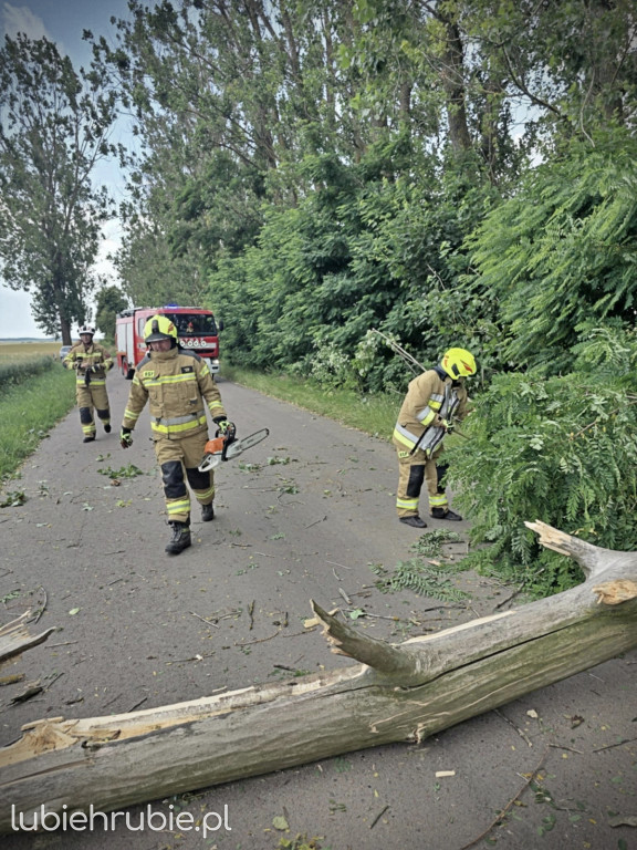 119 strażackich interwencji po burzach 7 lipca