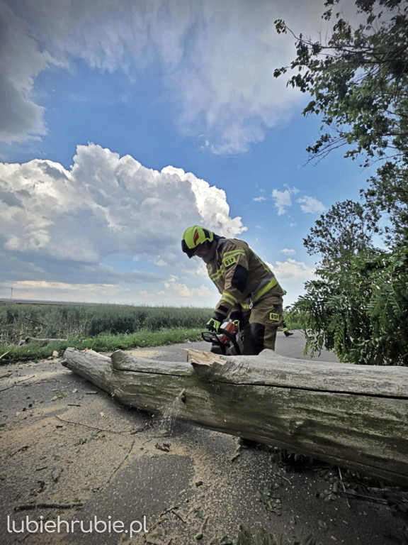 119 strażackich interwencji po burzach 7 lipca