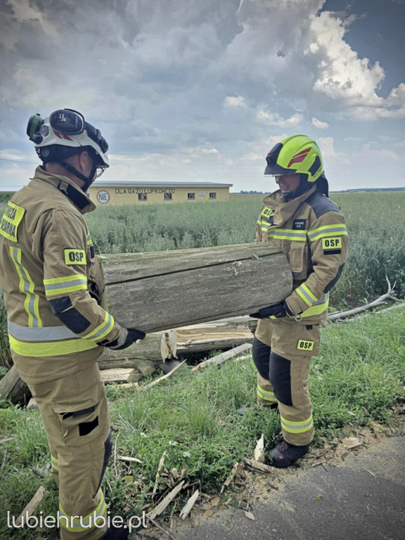 119 strażackich interwencji po burzach 7 lipca