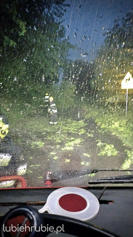 119 strażackich interwencji po burzach 7 lipca