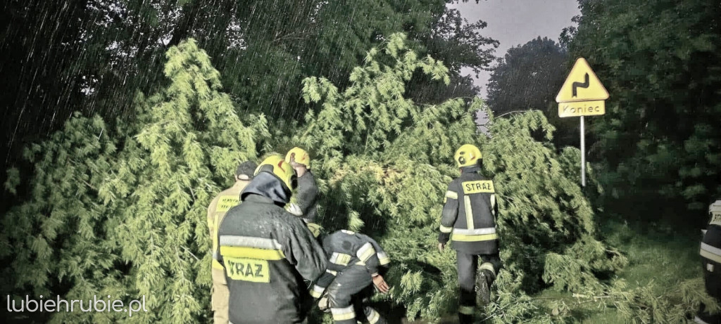 119 strażackich interwencji po burzach 7 lipca