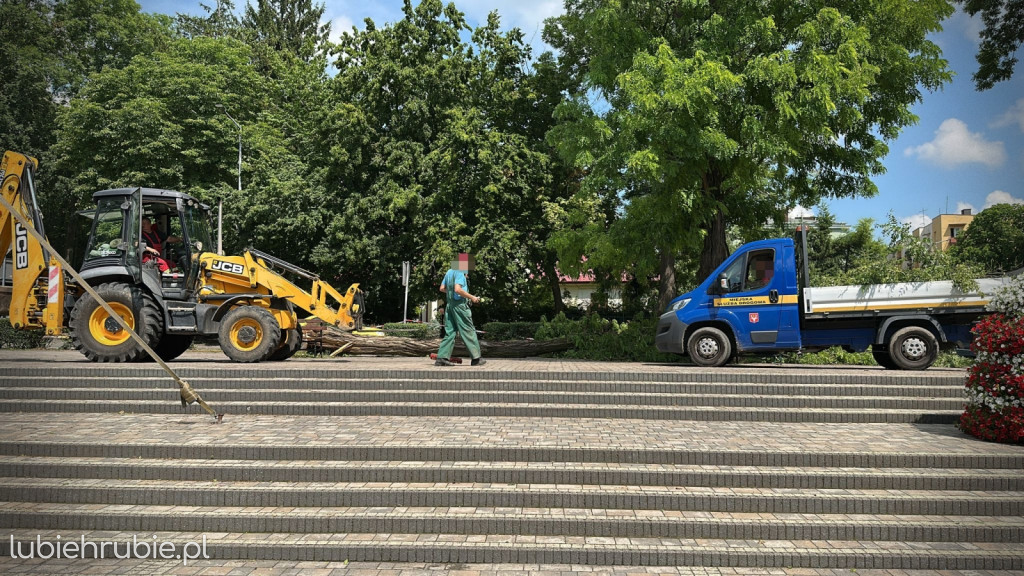 Powalone drzewo przed HDK