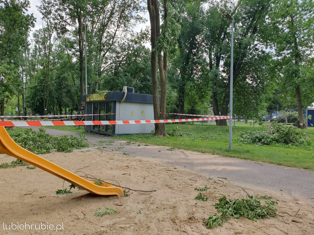 Straty w Małpim Gaju