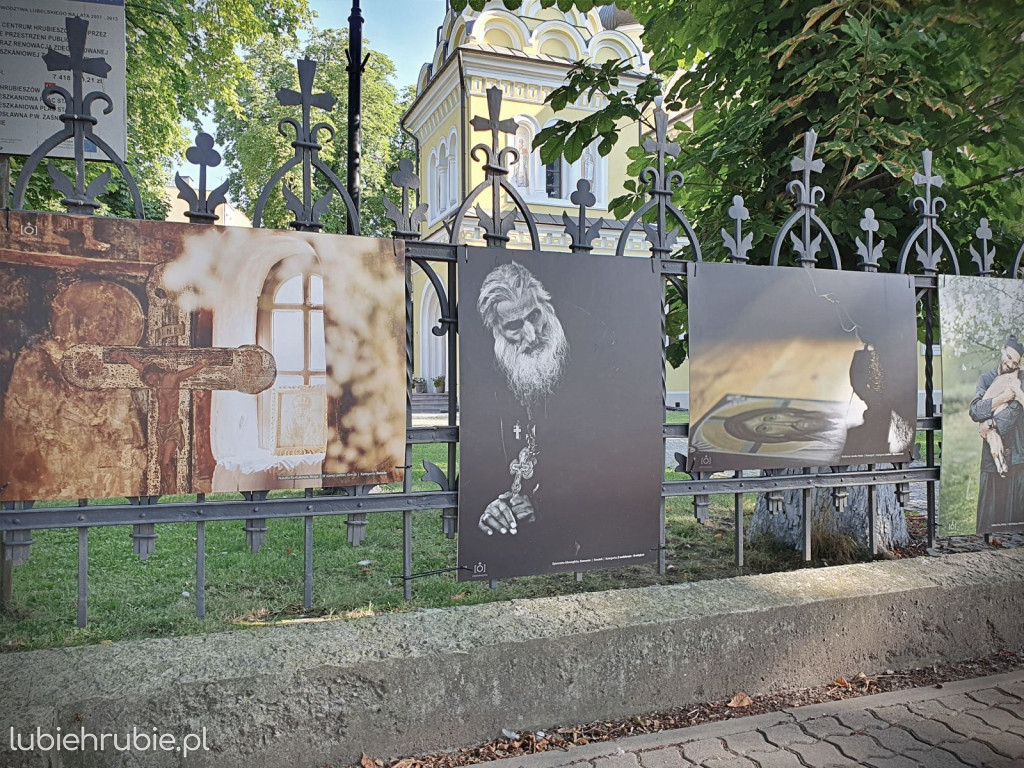 Wystawa Orth Photo Awards