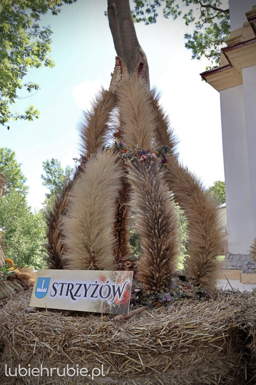 Dożynki Gminno–Parafialne w Horodle