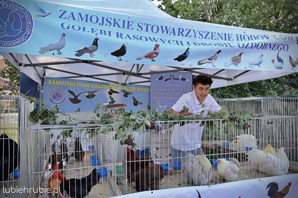 Dożynki Gminno–Parafialne w Horodle