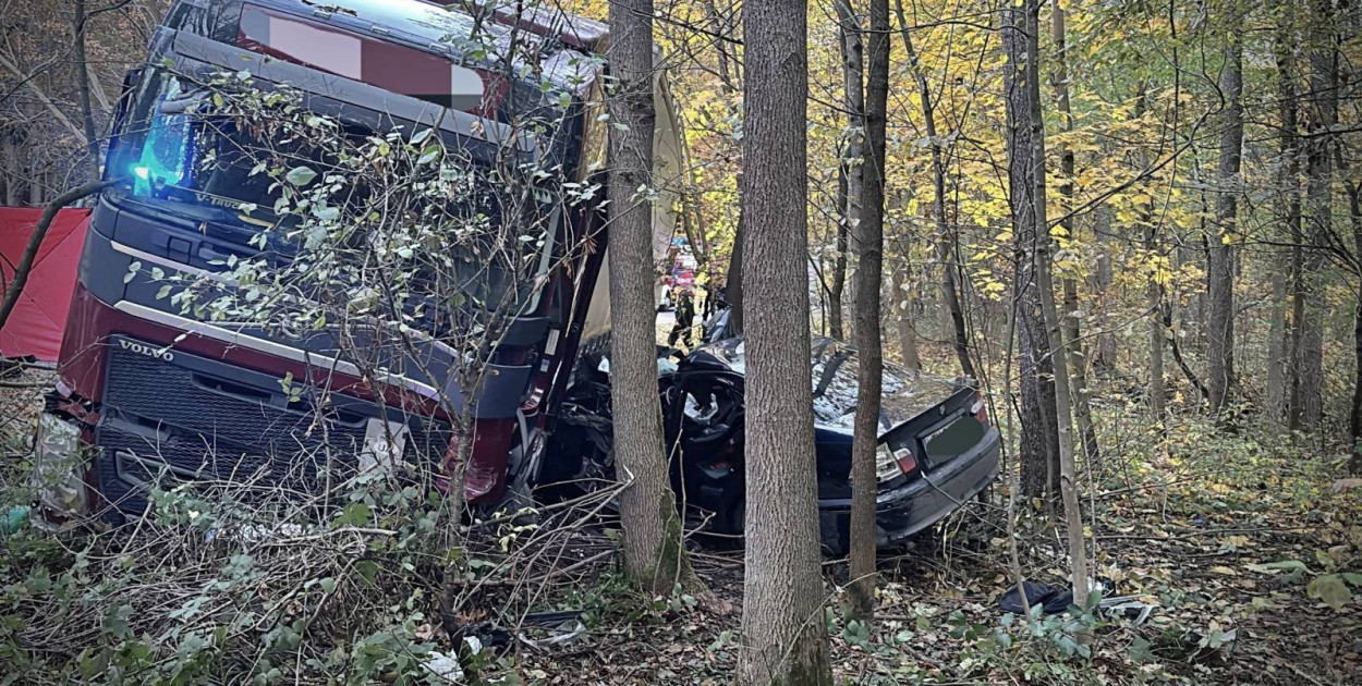 Śmiertelny wypadek na DK17 w powiecie tomaszowskim
