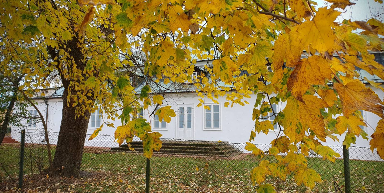 Na tyłach muzeum