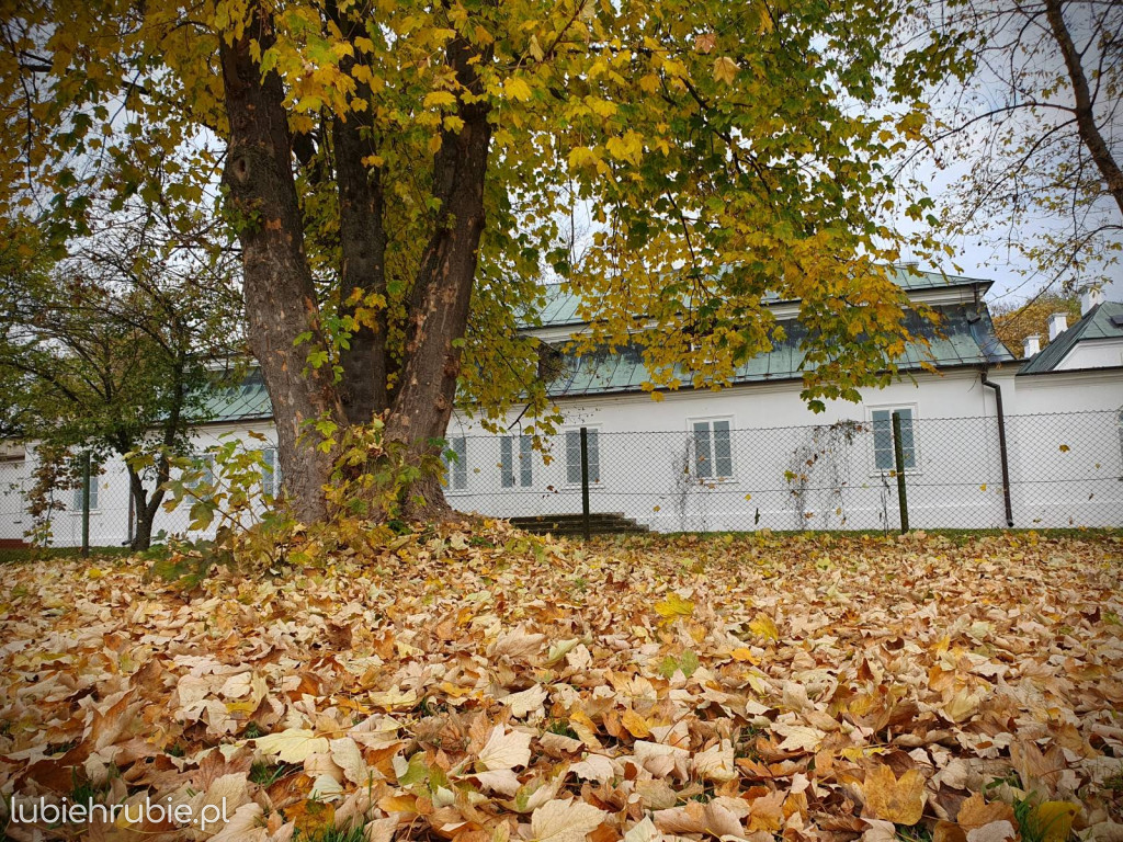 Na tyłach muzeum