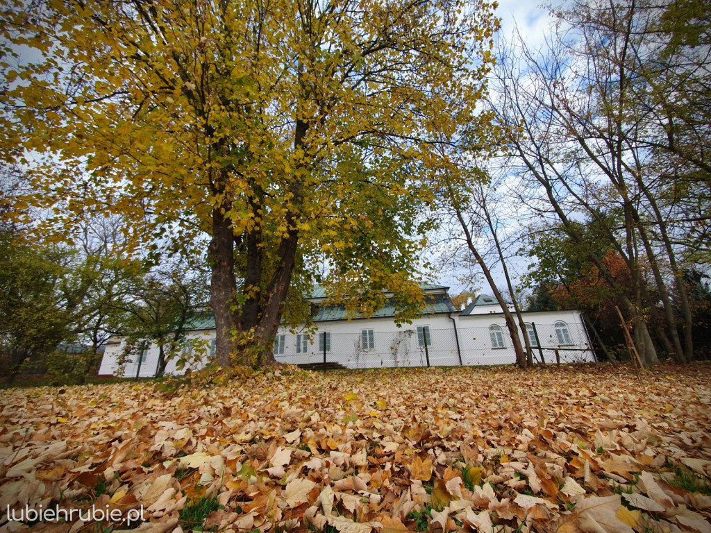 Na tyłach muzeum
