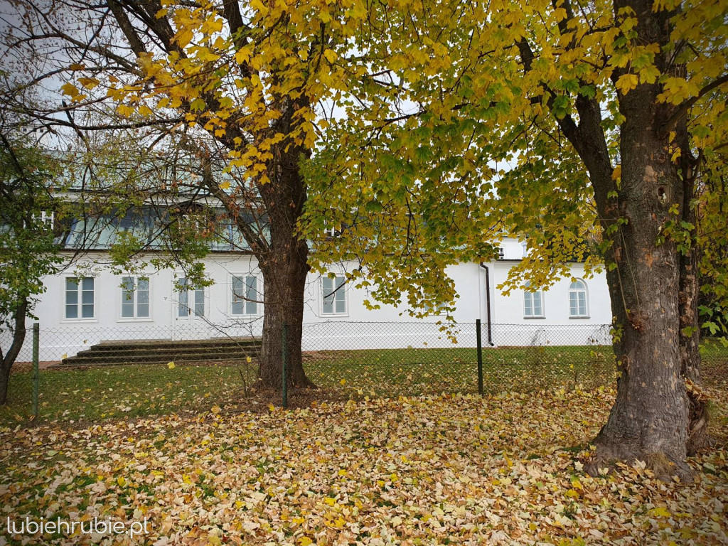 Na tyłach muzeum