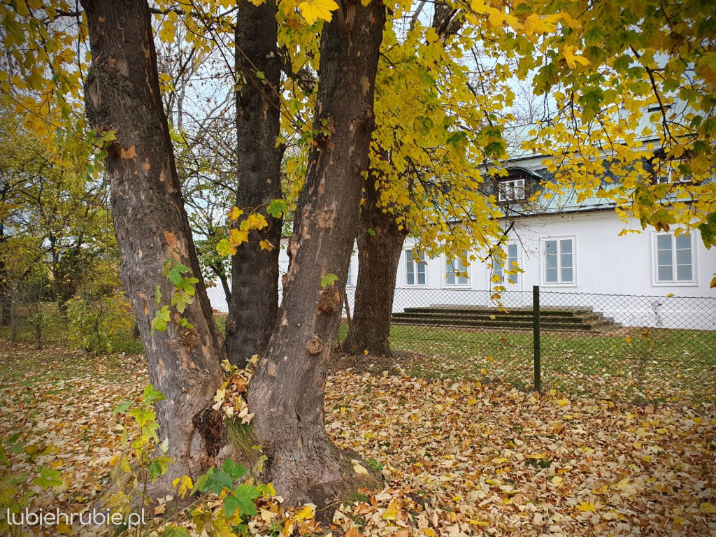 Na tyłach muzeum
