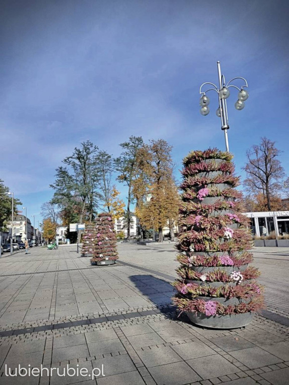 Niezapomniane chwile dla maturzystów