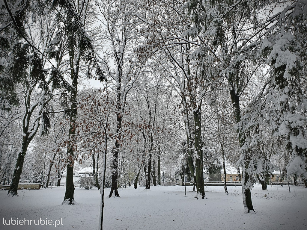Pierwszy śnieg