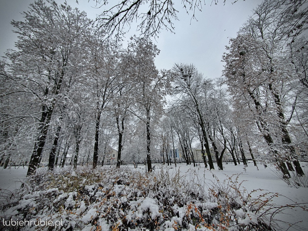 Pierwszy śnieg