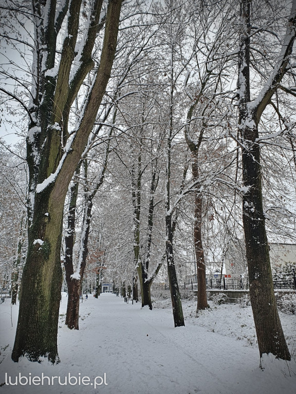 Pierwszy śnieg