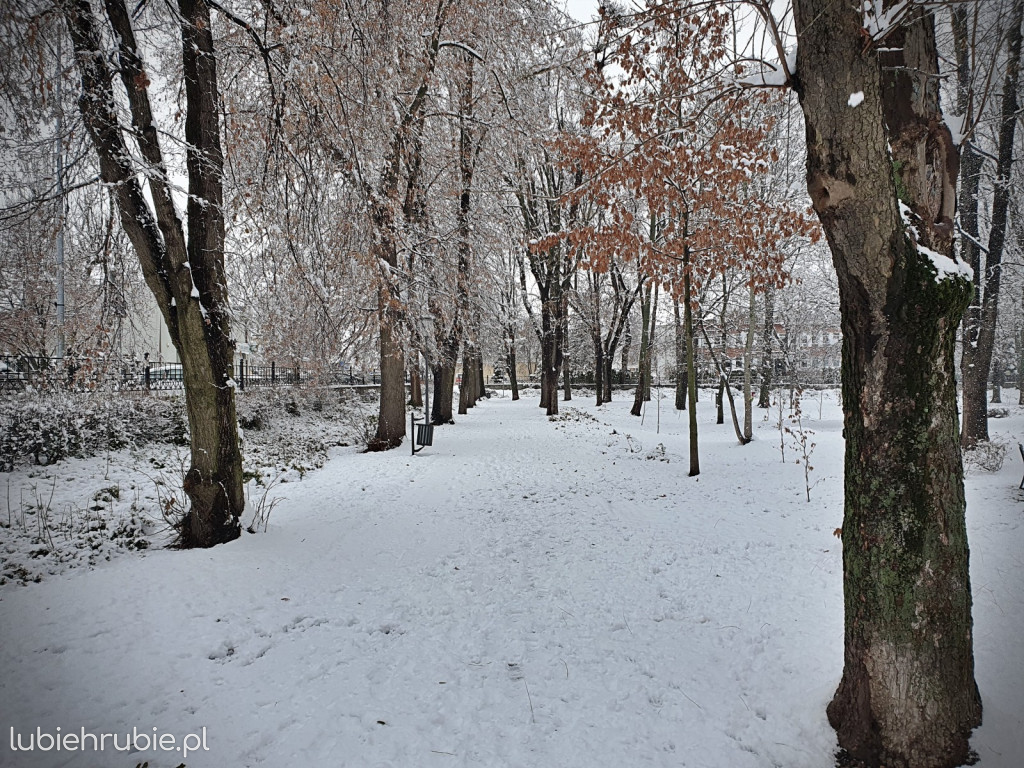 Pierwszy śnieg