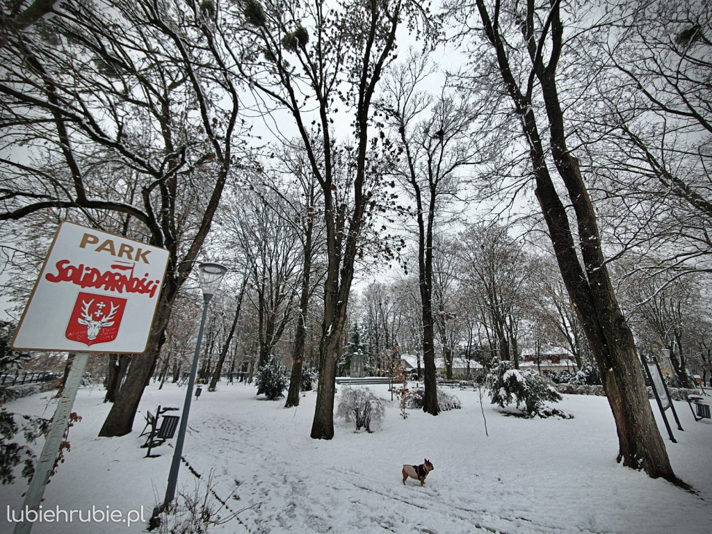 Pierwszy śnieg