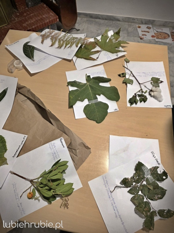 Projekt Erasmus+ uczniów hrubieszowskiej Trójki