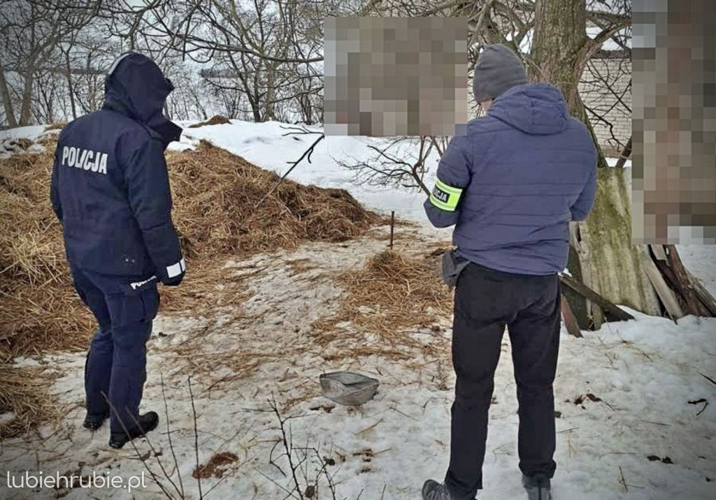 Odpowiedzą za znęcanie nad zwierzętami