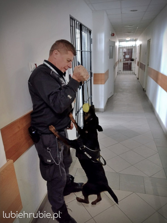 Zakończyli swoją służbę