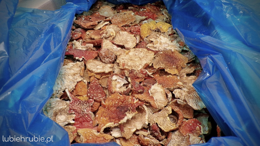 KAS i SG zatrzymały ponad 34 kg muchomorów