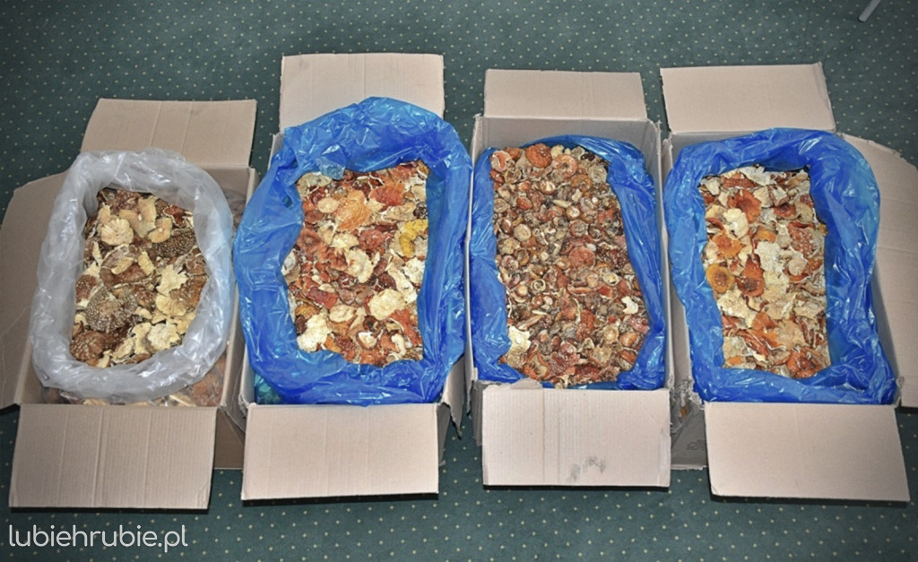 KAS i SG zatrzymały ponad 34 kg muchomorów
