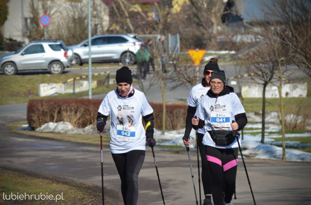 Bieg i Nordic Walking Tropem Wilczym 2026