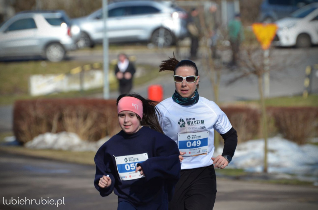 Bieg i Nordic Walking Tropem Wilczym 2026