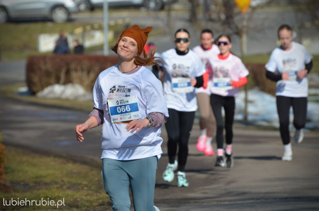 Bieg i Nordic Walking Tropem Wilczym 2026