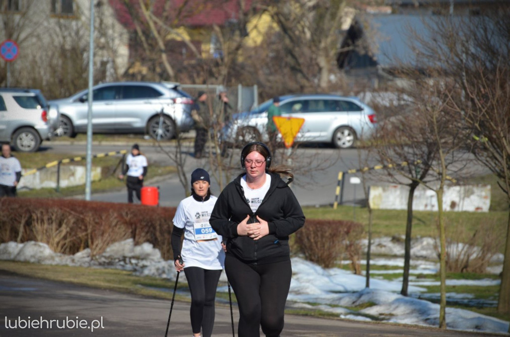Bieg i Nordic Walking Tropem Wilczym 2026