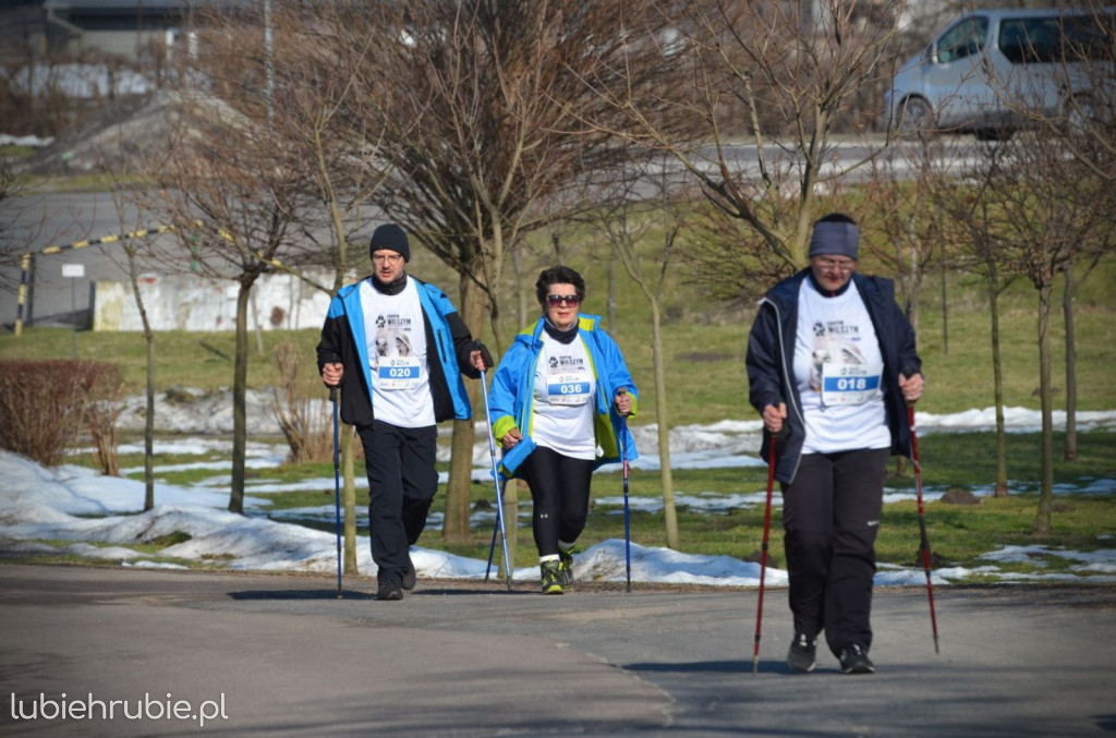 Bieg i Nordic Walking Tropem Wilczym 2026