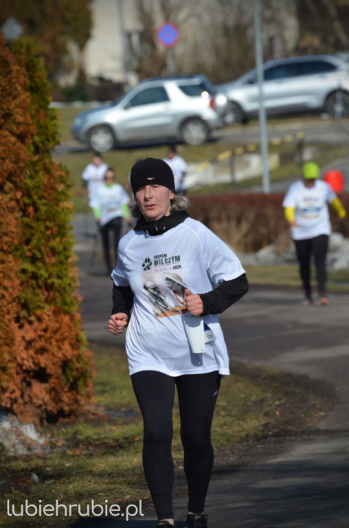 Bieg i Nordic Walking Tropem Wilczym 2026